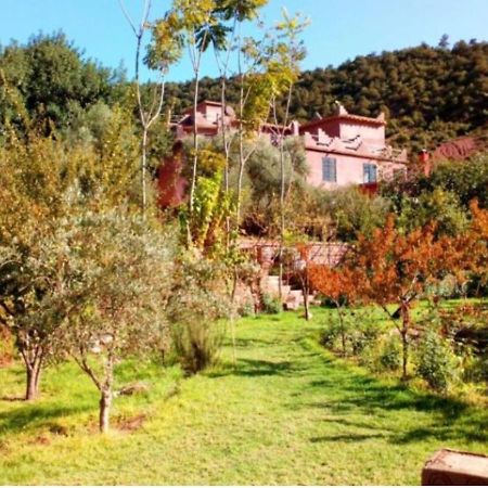 Ourika Timalizene Le Jardin Des Delices Hotel Tamezindert Exterior photo